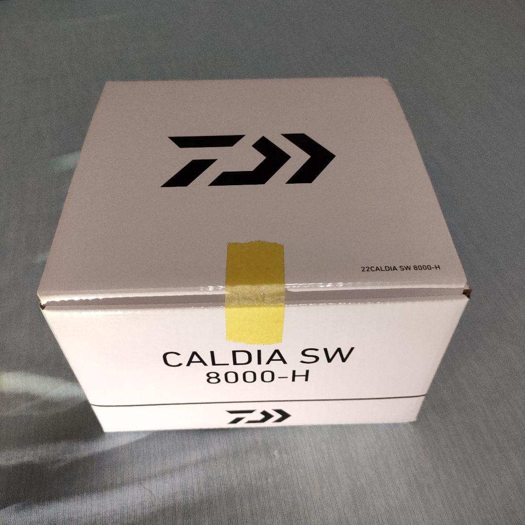 ダイワ 22カルディアSW 8000-H