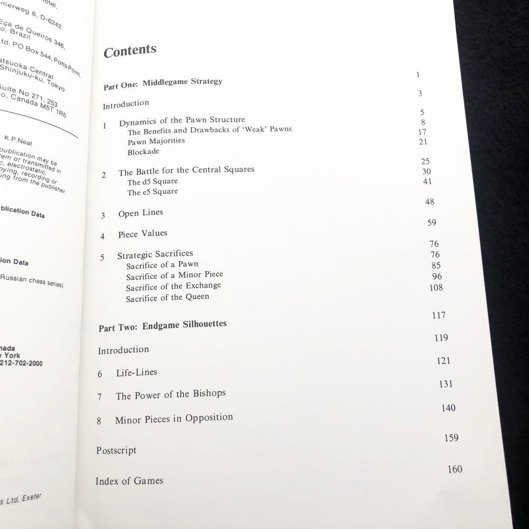 チェス シシリアン・ディフェンス 専門書「Sicilian Labyrinth」