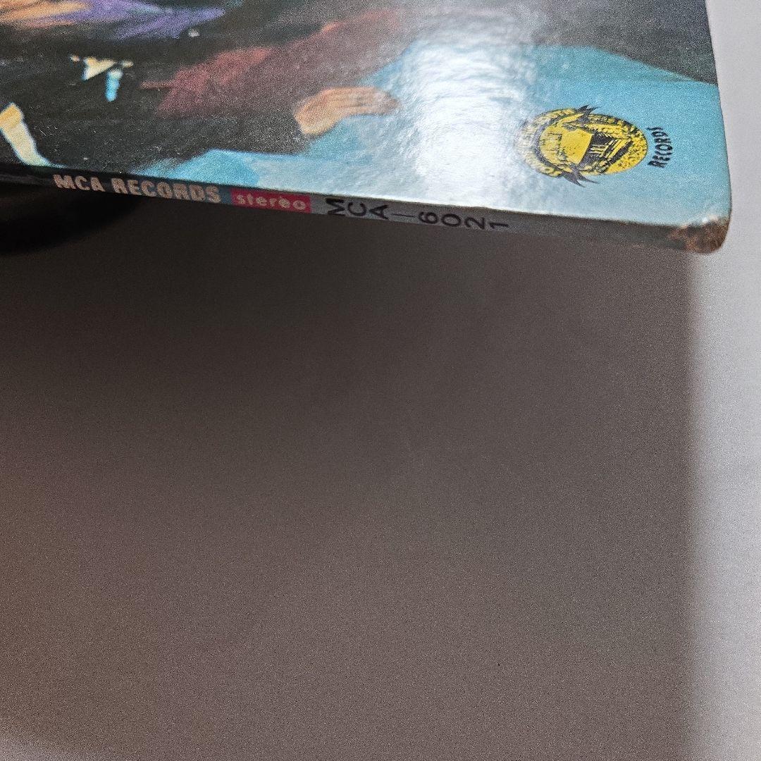 サザンロック名盤　日本盤　Lynyrd Skynyrd