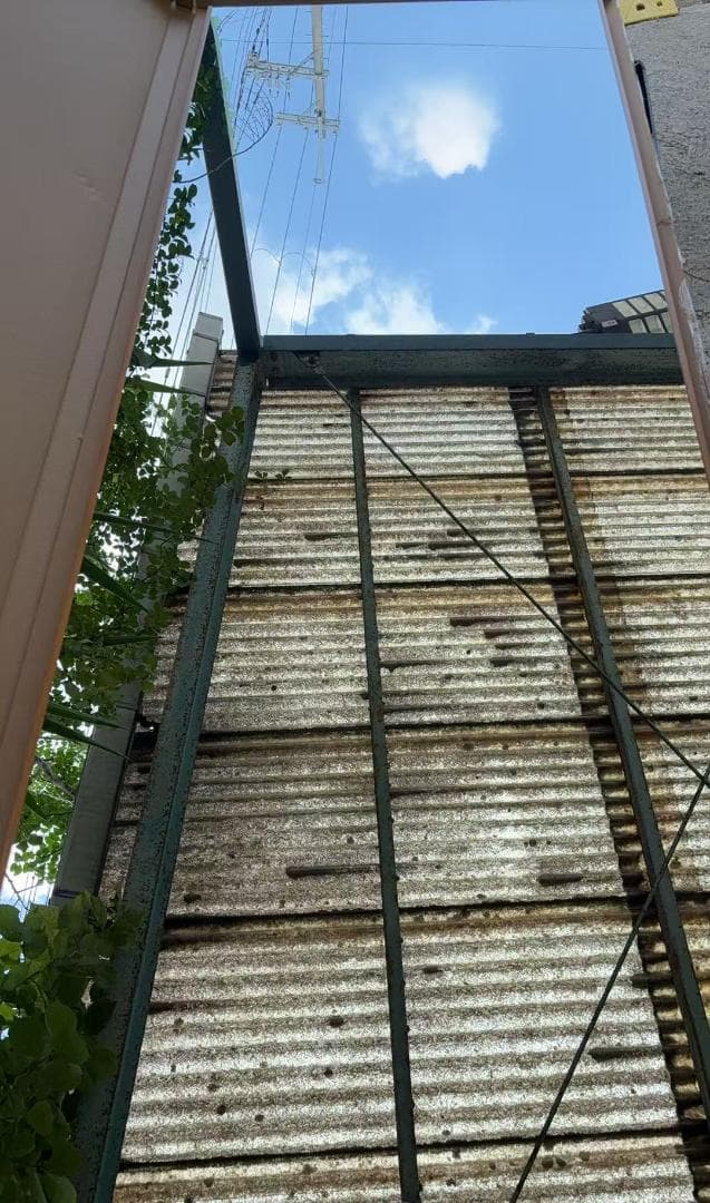 【中古】ダンスミラー 割れない鏡 幅60x160cm 姿見 木色 10番