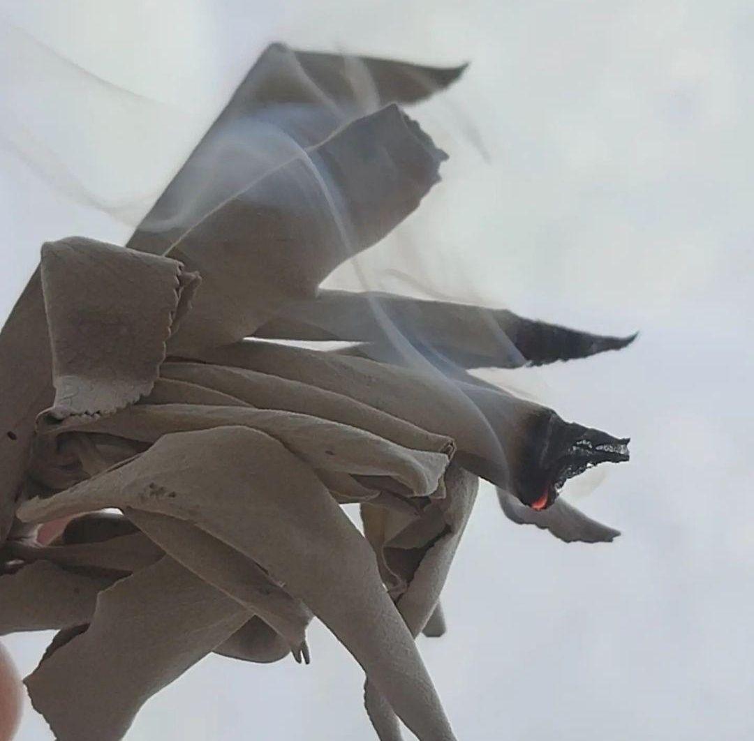 業務用価額☆無農薬ホワイトセージ枝付きクラスター1KG