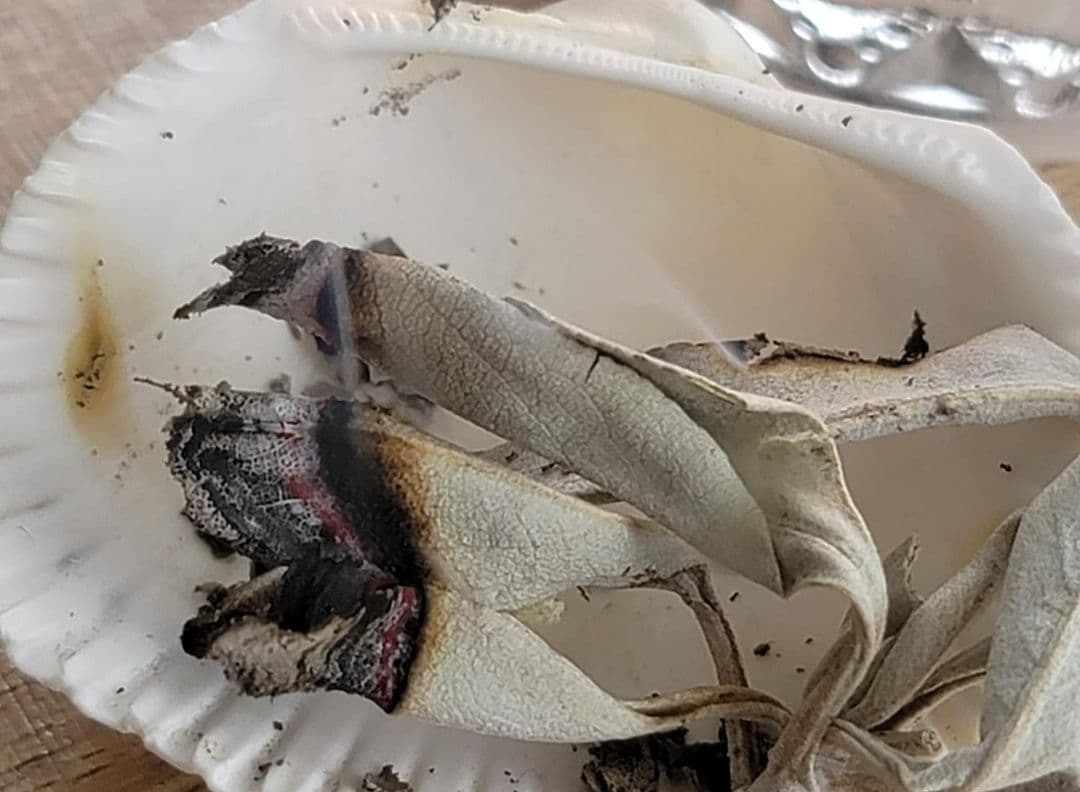 業務用価額☆無農薬ホワイトセージ枝付きクラスター1KG