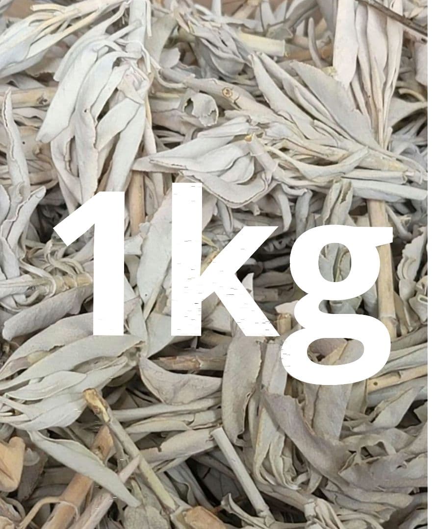 業務用価額☆無農薬ホワイトセージ枝付きクラスター1KG
