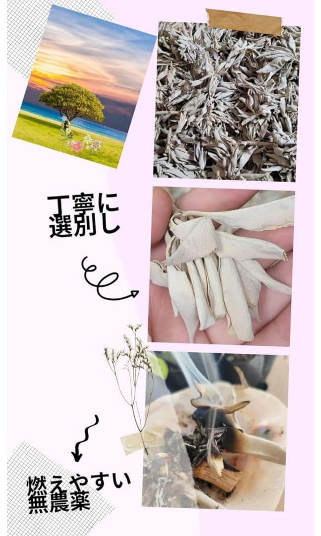 業務用価額☆無農薬ホワイトセージ枝付きクラスター1KG