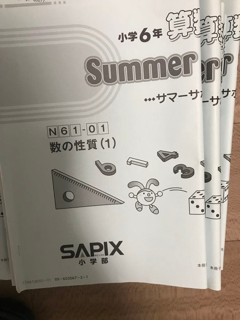 小学校6年生 サマーサポート 数の性質・表とグラフ