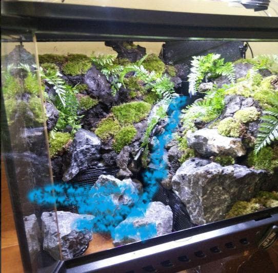 【受注生産】滝のあるアクアテラリウム　グラステラリウム 4530イモリウム