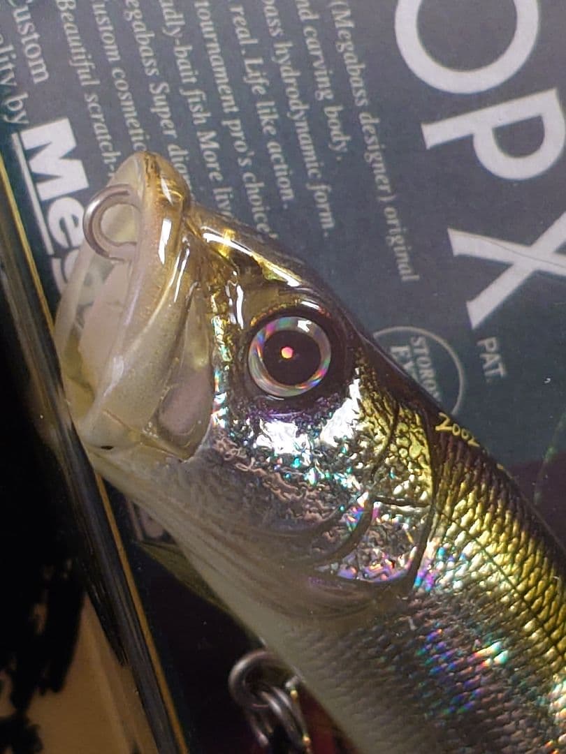 メガバス ポップX オールド '02 初回出荷 ILテネシーシャッド 新品未開封