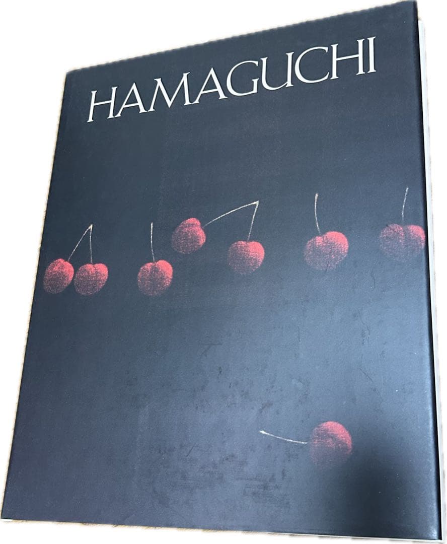 HAMAGUCHI 浜口陽三　全画集