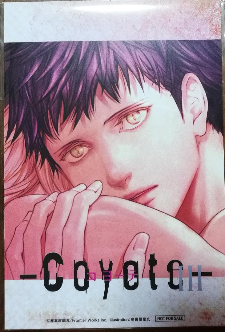 【新品】コヨーテⅢ 初回限定生産盤 コヨーテⅣアニメイト限定版CD 座裏屋蘭丸