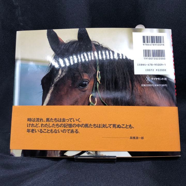 激レア 絶版 廃盤 写真集 ONTHETURF2 競馬