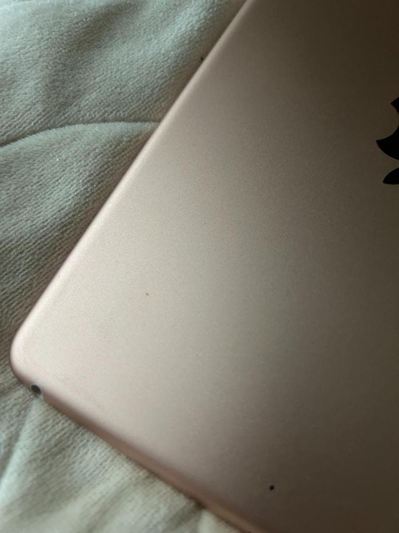 iPad mini 第5世代 本体 ゴールド