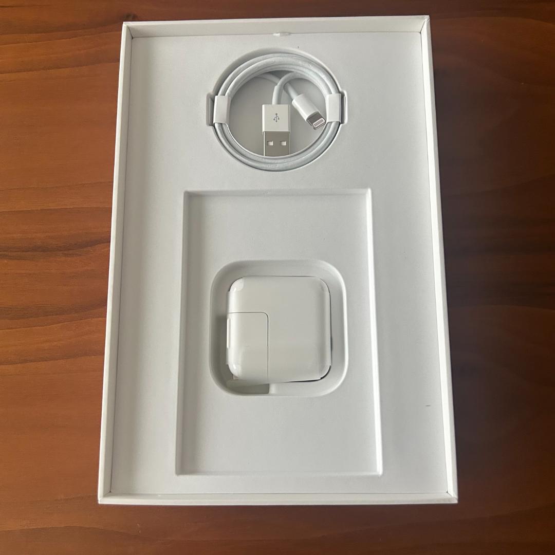 iPad mini 第5世代 本体 ゴールド