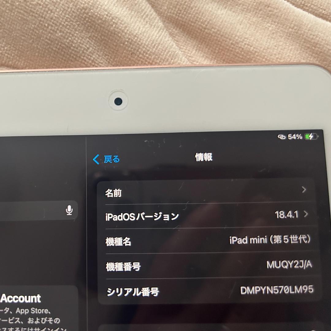 iPad mini 第5世代 本体 ゴールド