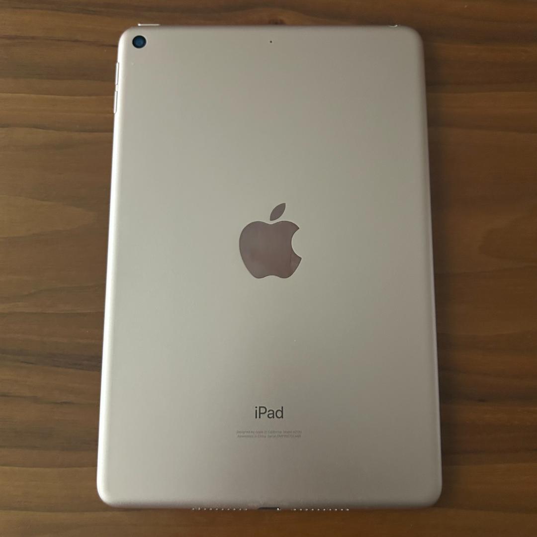 iPad mini 第5世代 本体 ゴールド