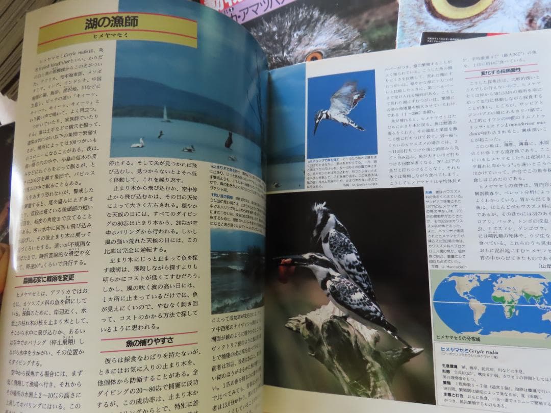 週刊　動物たちの地球全144巻揃い　朝日新聞社発行　定価74880円 美品