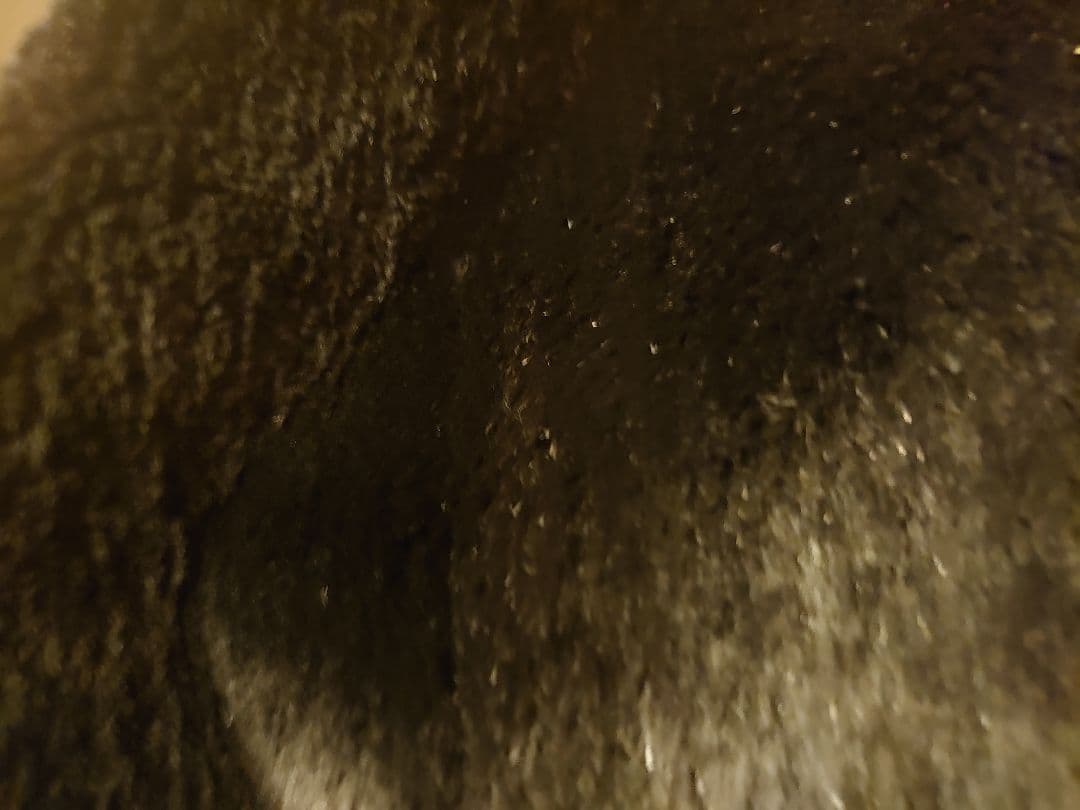 黒 毛皮 コート ミンク ネーム入り 豪華 肉厚 美品