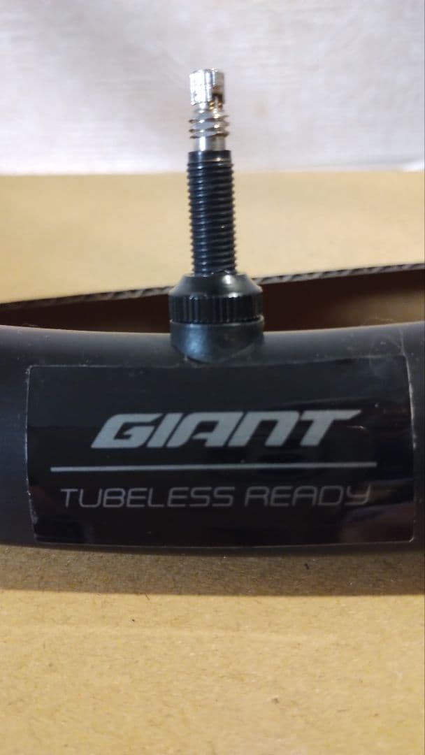 GIANT PR2（Defy Advanced 2 2024 付属未使用 前後