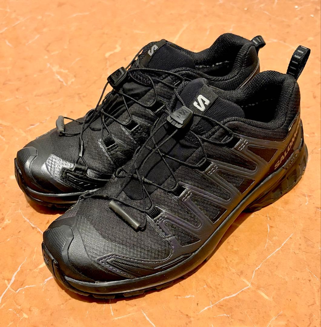 【24cm】SALOMON/サロモン XA PRO 3D V9 GTX W