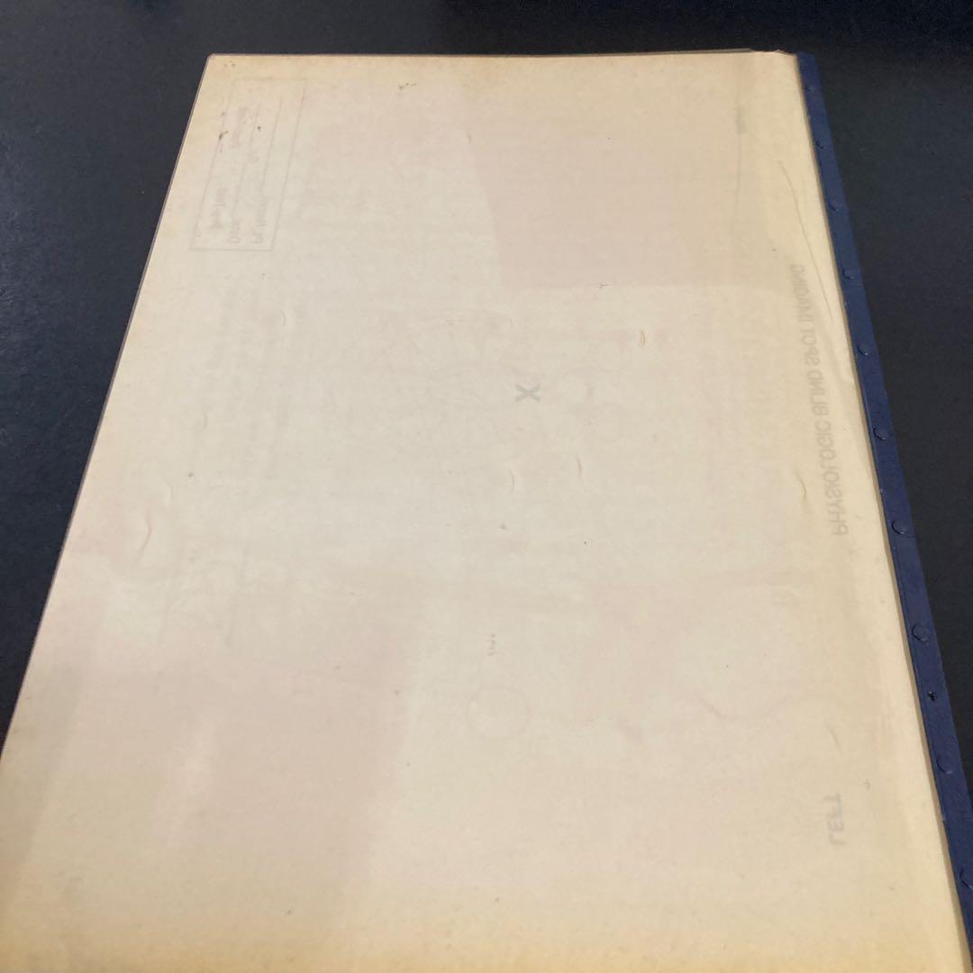 BIO-KINETICS セミナー資料日本語！カイロ神経学！レアテクニック！整体