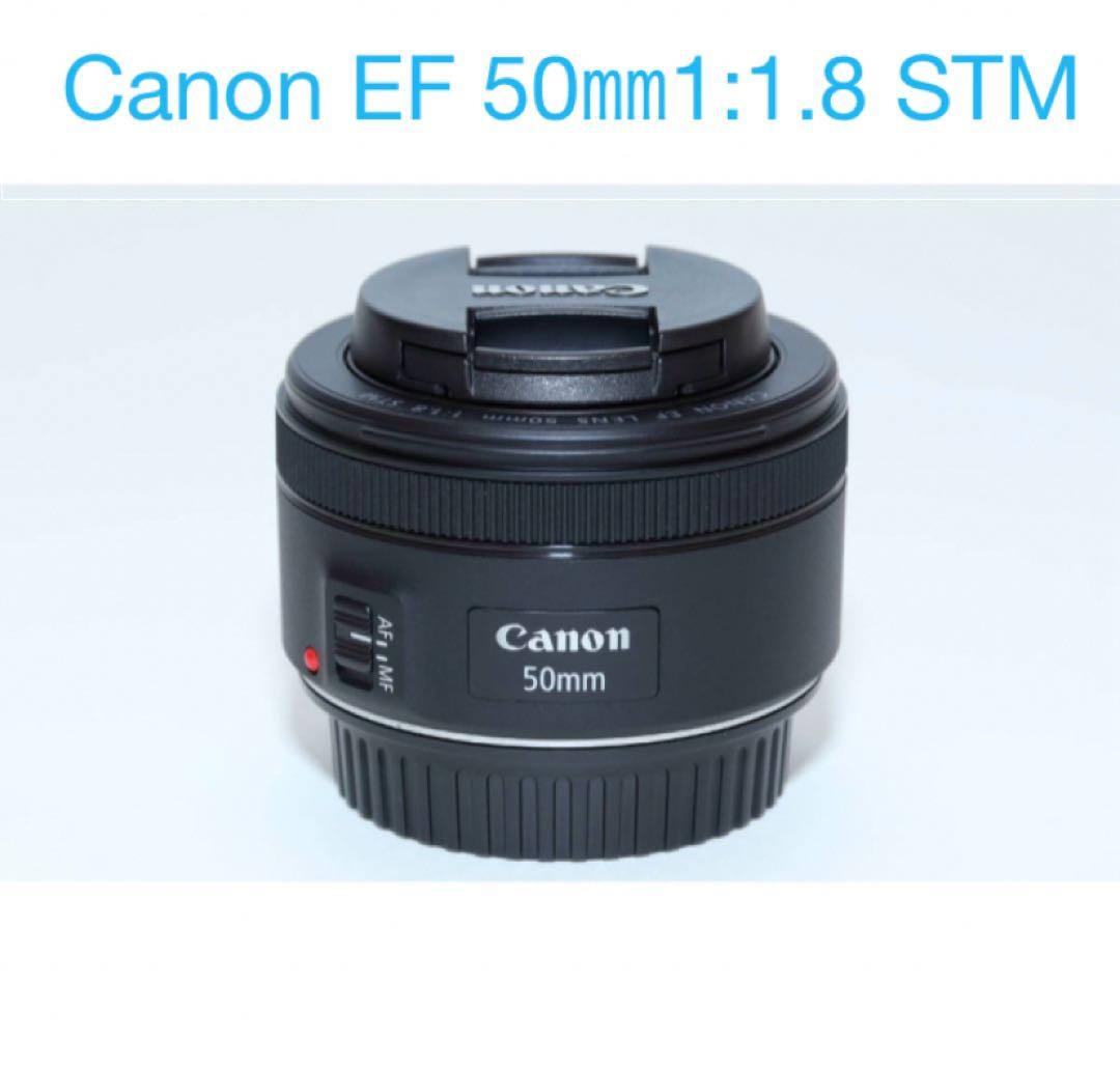 単焦点レンズ/一眼レフカメラ/Canon EF 50mm F1.8 STM