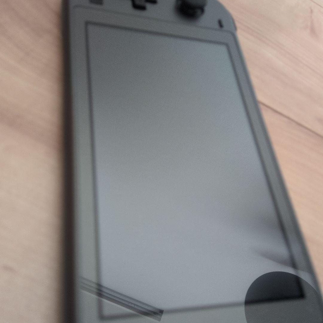 Nintendo Switch Liteディアルガ・パルキア【本体のみ】※頂き物