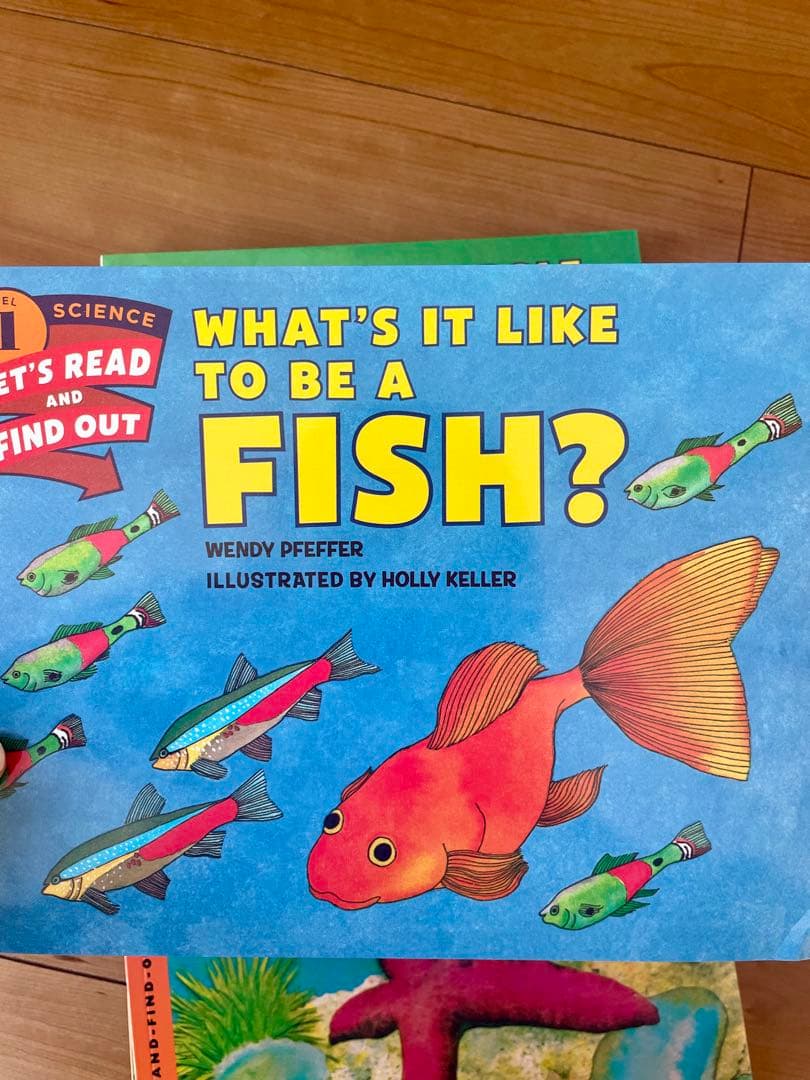 新品Let's read and find out science 44冊