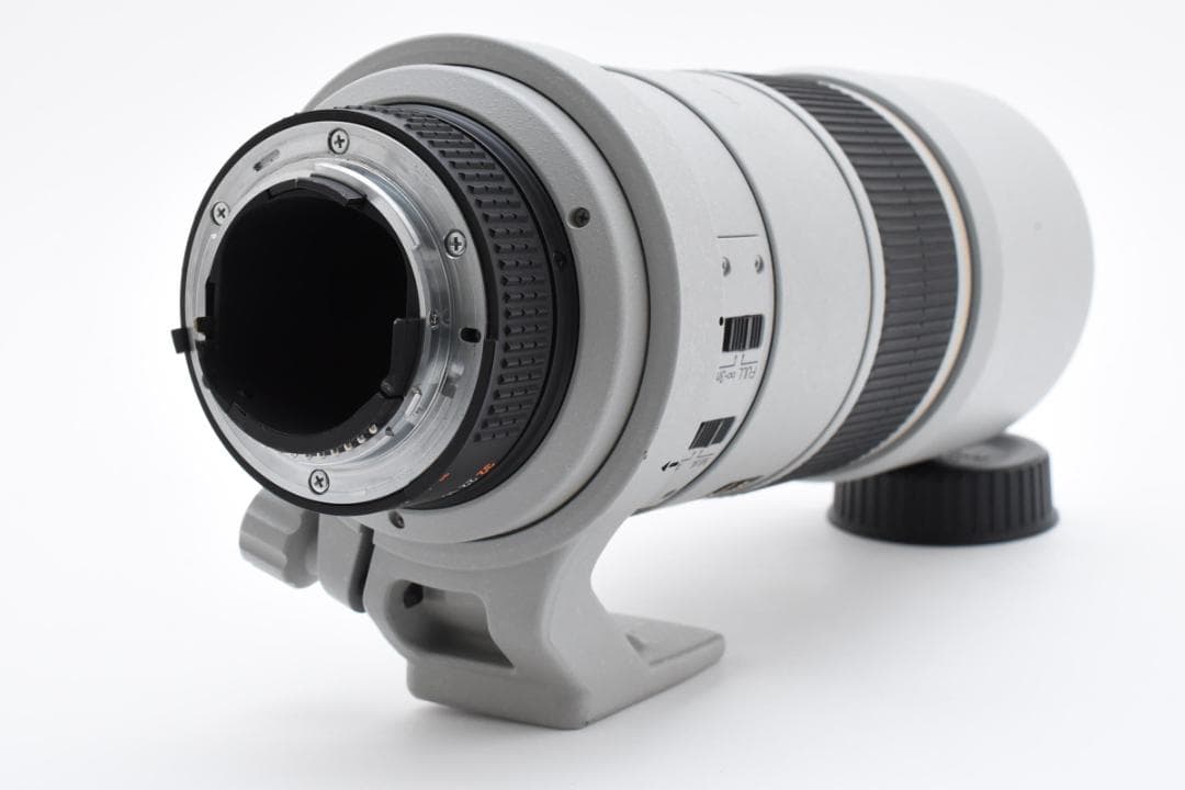 NIKON AF-S NIKKOR 300mm F4D IF-EDレンズ#333