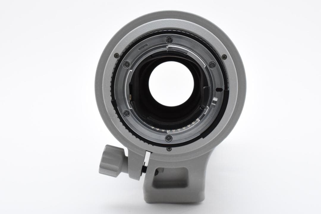 NIKON AF-S NIKKOR 300mm F4D IF-EDレンズ#333