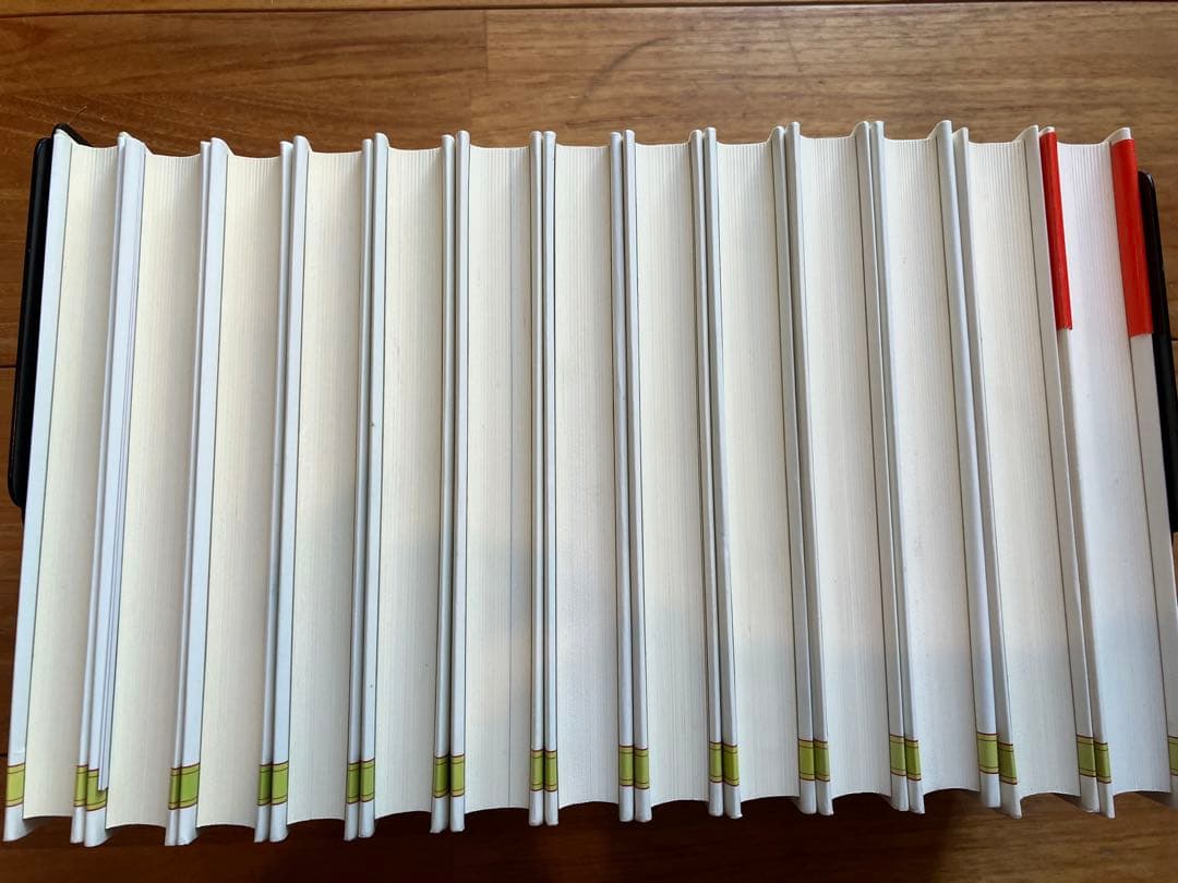 世にも不幸なできごと全13巻　レモニースニケット