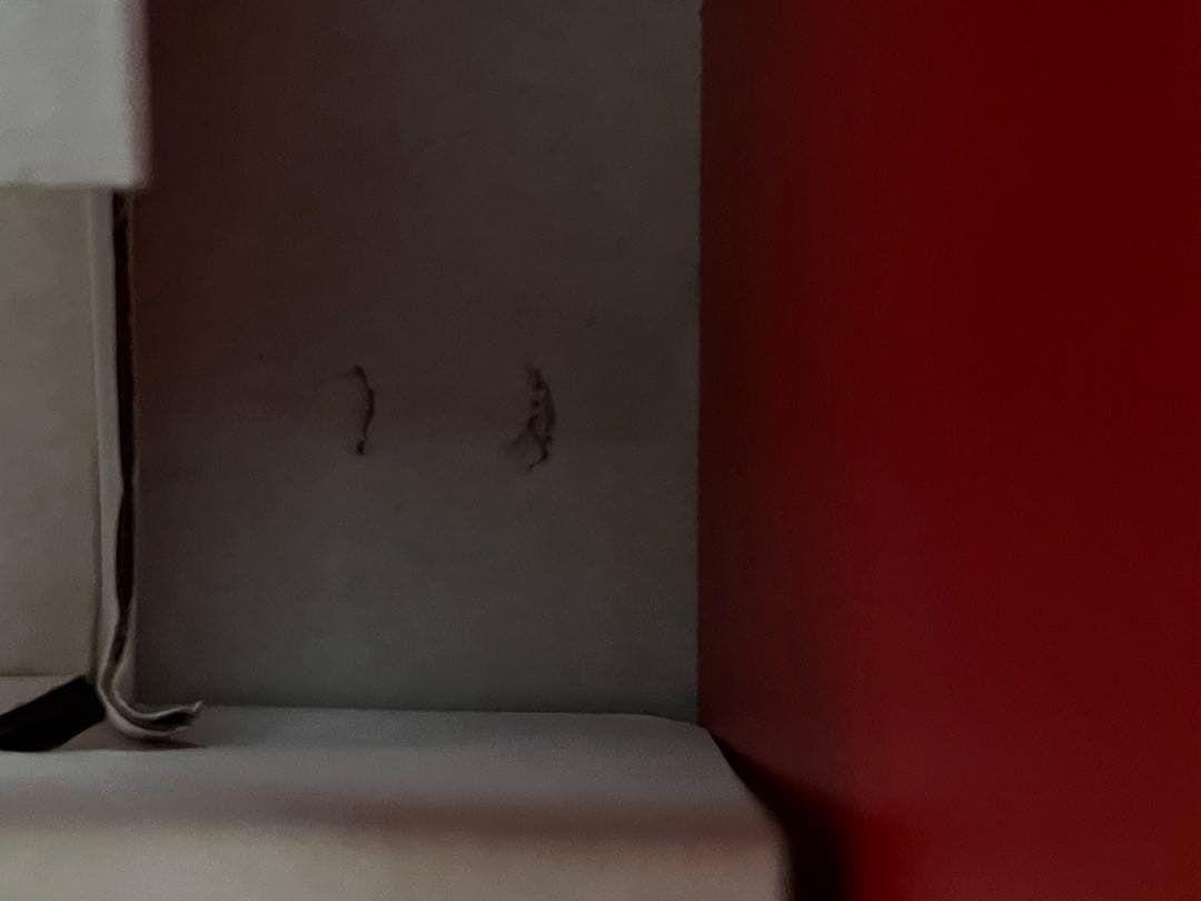 Nintendo Switch マリオレッド 美品