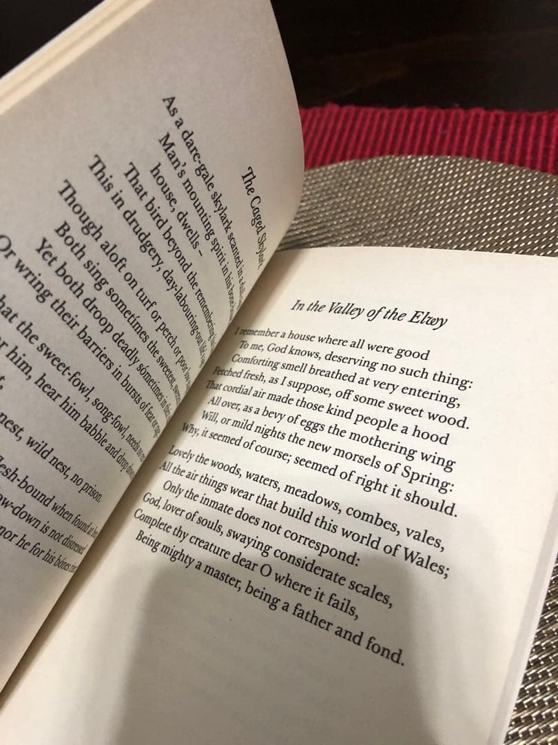 希少　As kingfishers catch fire