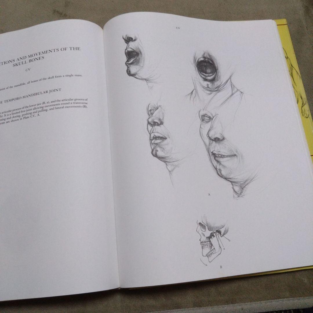 ANATOMY FOR THE ARTIST　解剖デッサン集