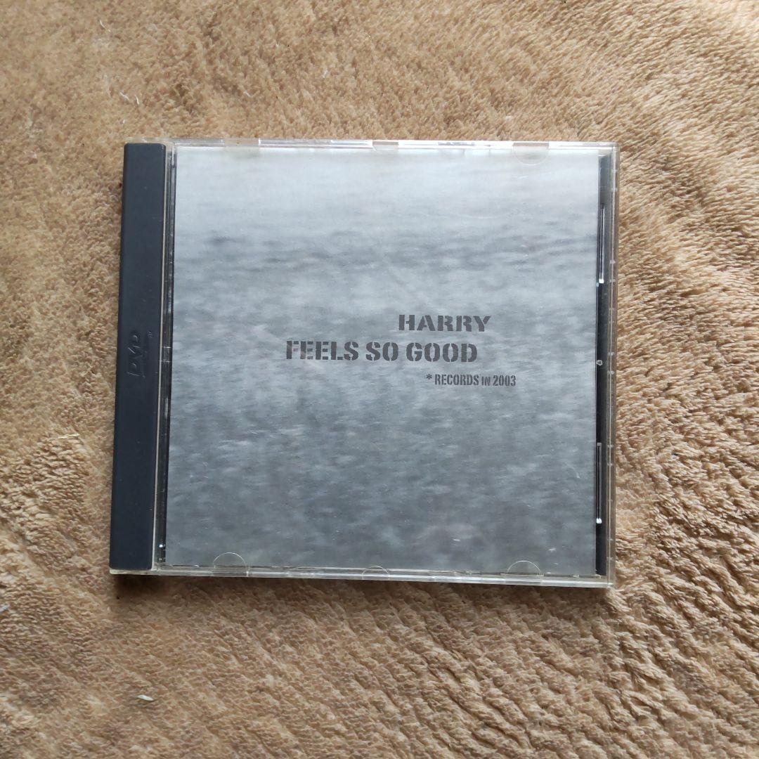 【希少】HARRY FEELS SO GOOD 【DVD 】 村越弘明