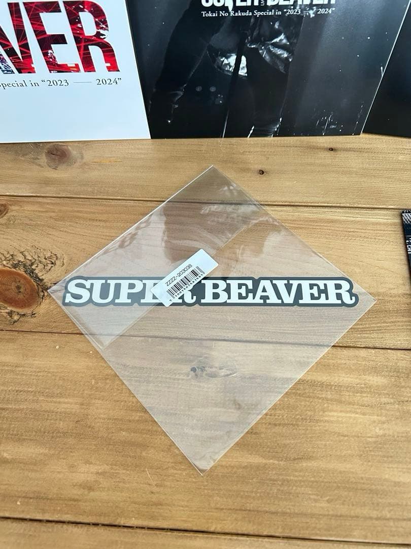 【特典付】SUPERBEAVER DVD 初回生産限定盤【3DVD+写真集】