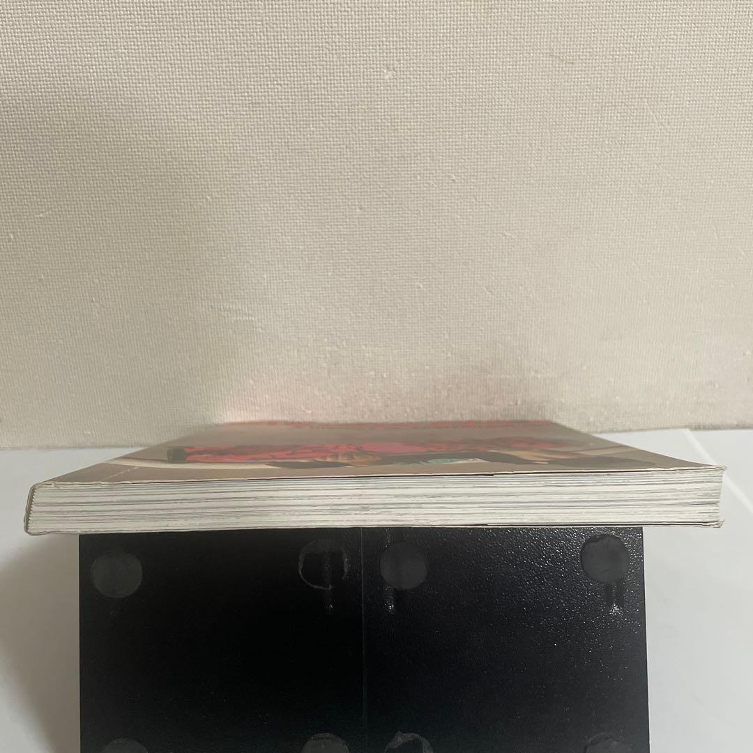 アート・デザイン・音楽 Disposable a History of Skateboard Art