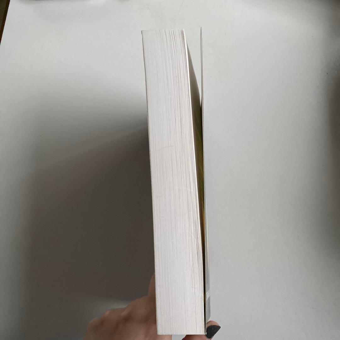 洋書 Fluid Dynamics for Physicists