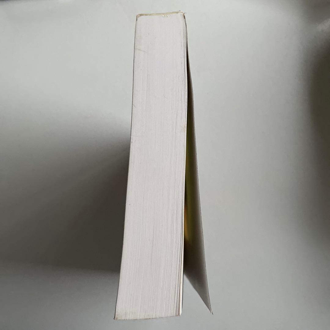 洋書 Fluid Dynamics for Physicists