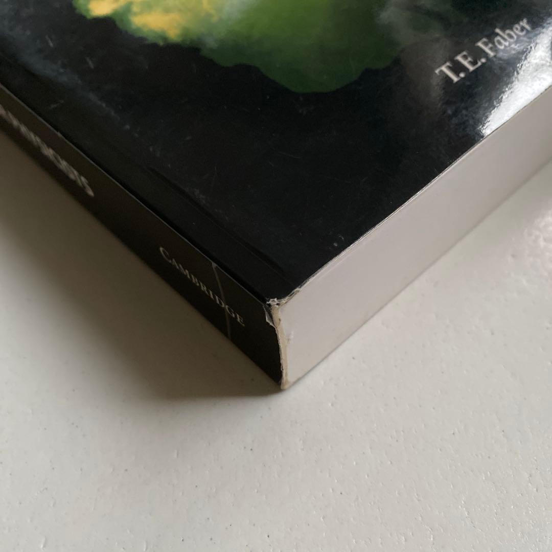 洋書 Fluid Dynamics for Physicists