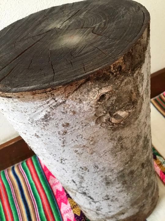 完全乾燥済み【天然欅の木】切り株スツール/インテリア台/切り株椅子/室内OKです