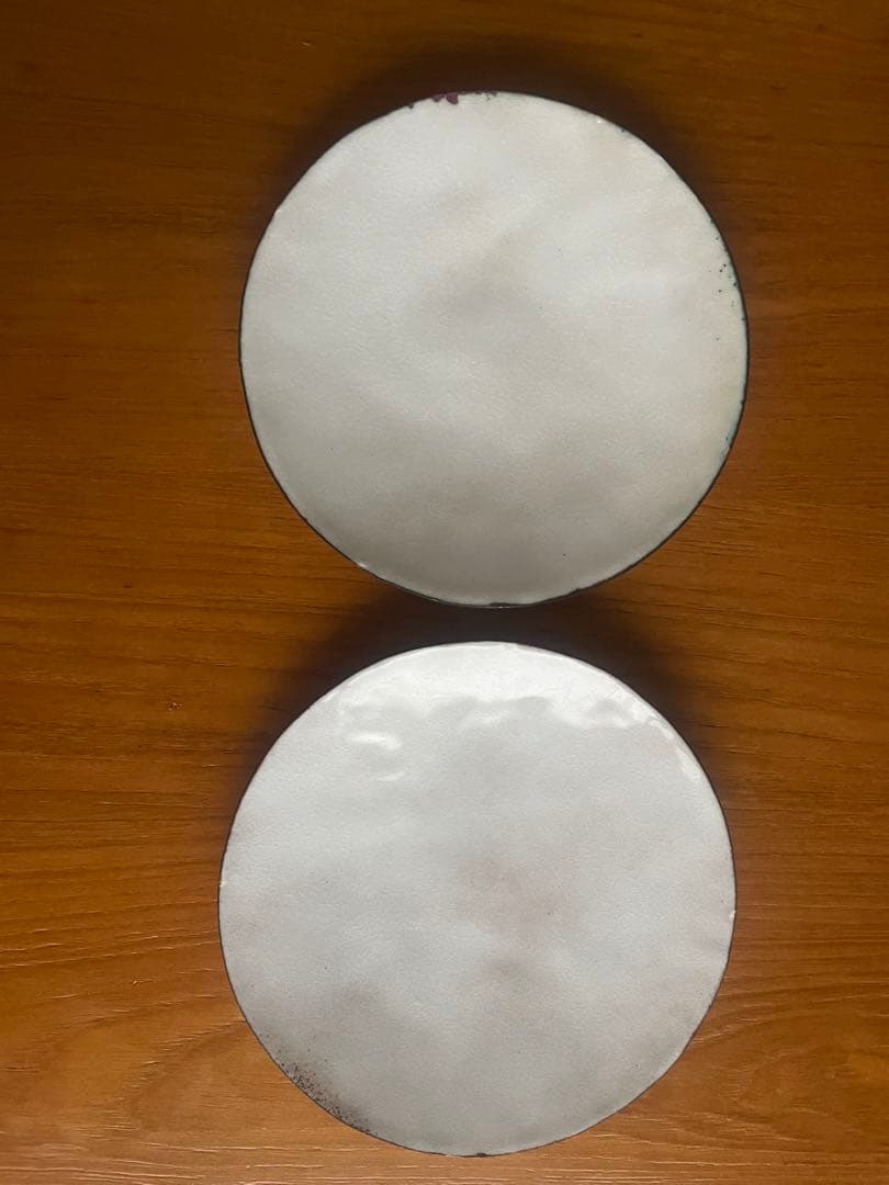 広瀬陽 七宝焼 皿 2枚セット（2019年 白日初個展作品）／希少