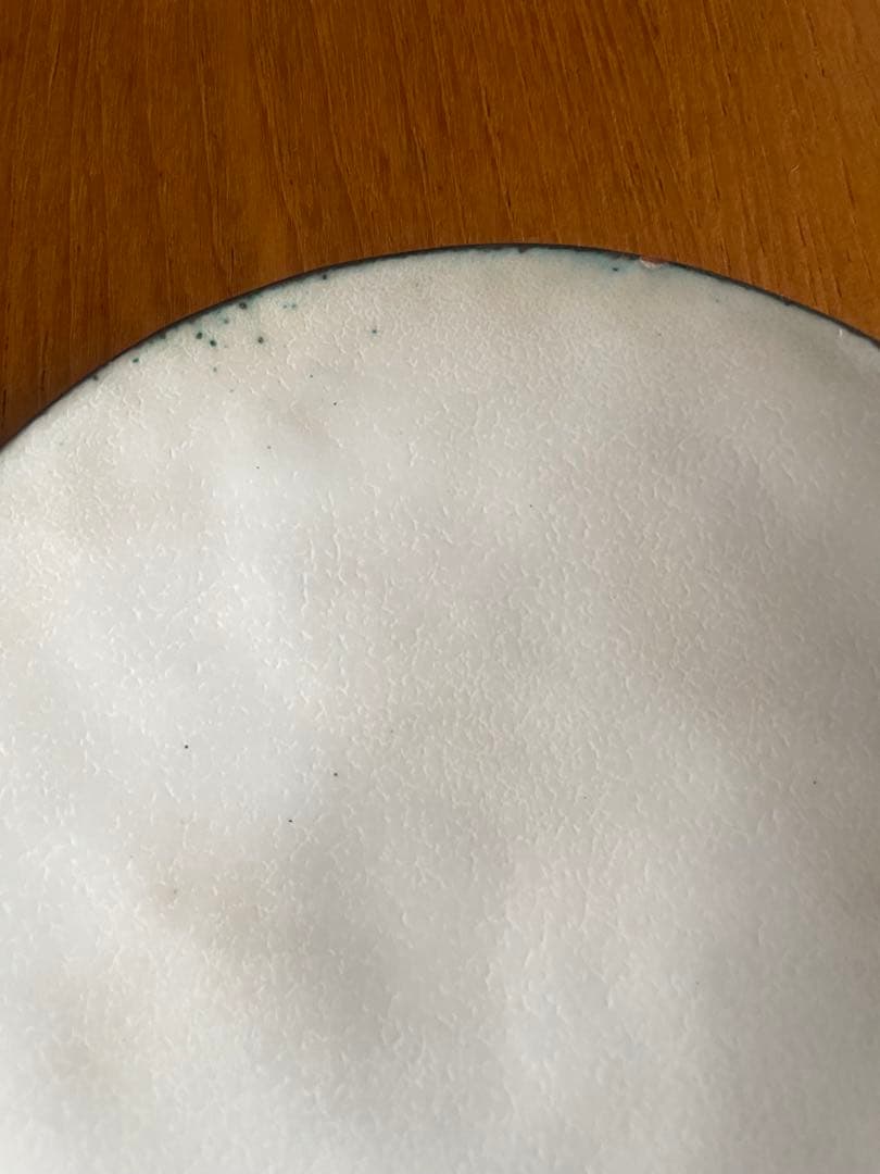 広瀬陽 七宝焼 皿 2枚セット（2019年 白日初個展作品）／希少