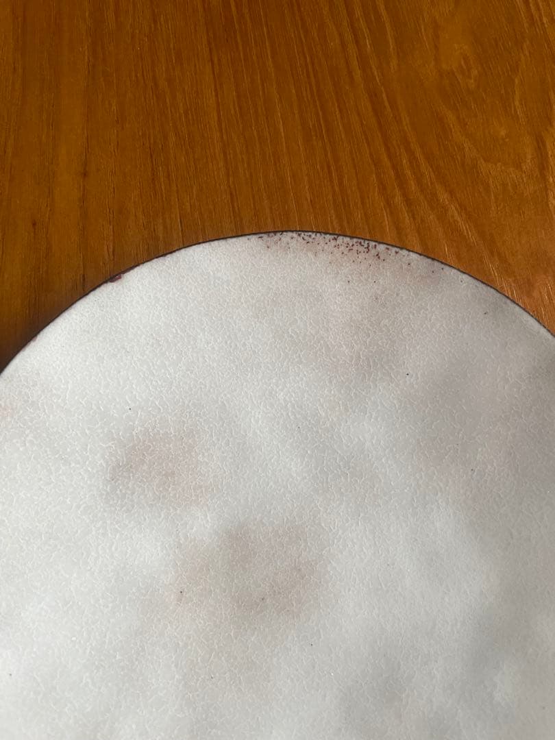 広瀬陽 七宝焼 皿 2枚セット（2019年 白日初個展作品）／希少