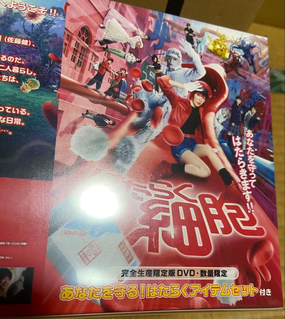 【即購入OK】映画 はたらく細胞 完全生産限定版・DVD・数量限定 未開封