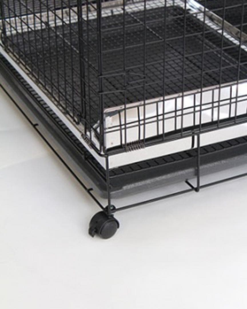 お値下げ！うさぎのしっぽ プロケージ60