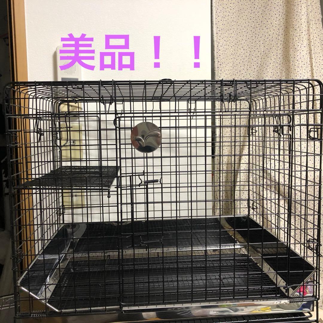 お値下げ！うさぎのしっぽ プロケージ60