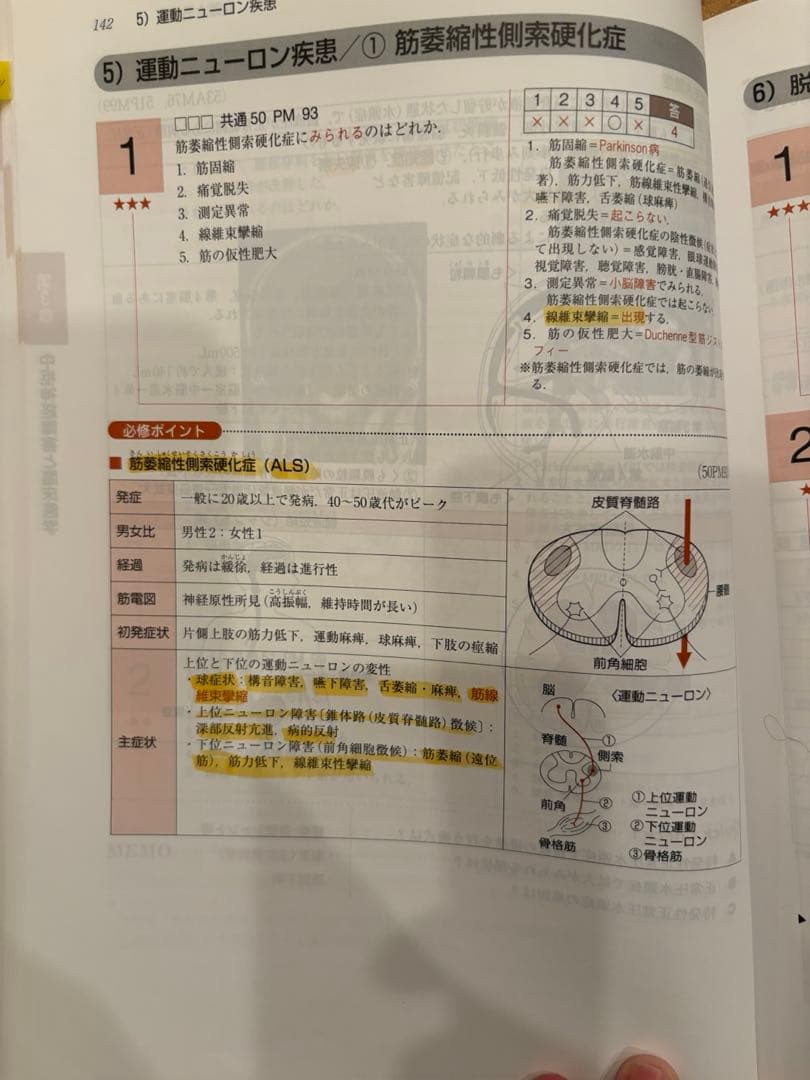 理学療法士・作業療法士国家試験2025