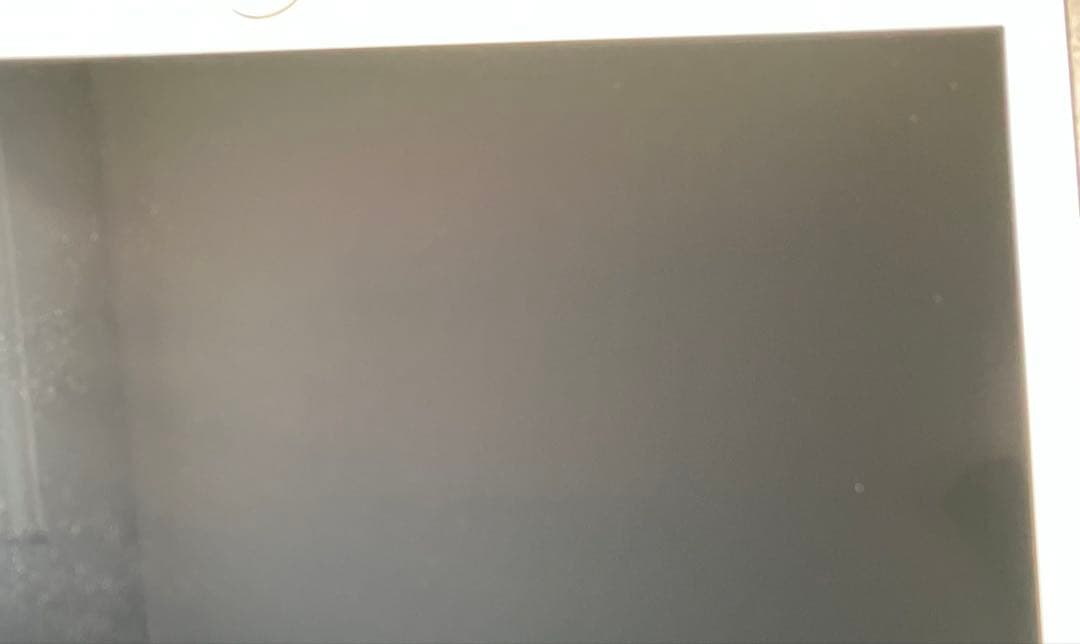 【完動品】iPad Pro 10.5 256GB SIMフリー 【付属品】