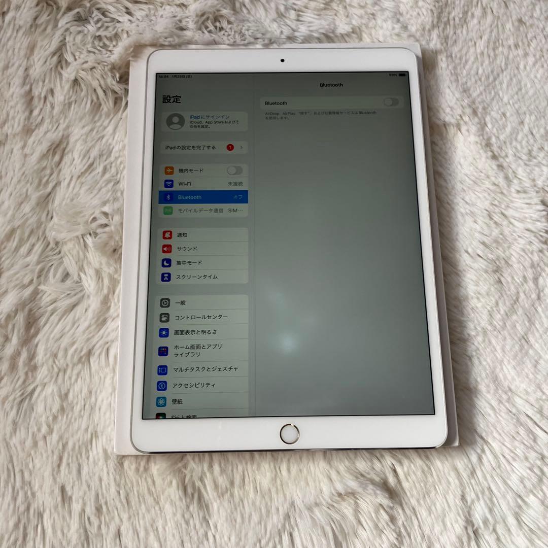 【完動品】iPad Pro 10.5 256GB SIMフリー 【付属品】