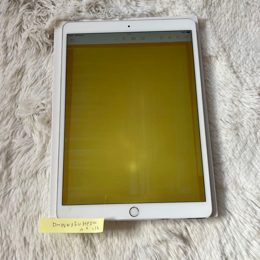 【完動品】iPad Pro 10.5 256GB SIMフリー 【付属品】