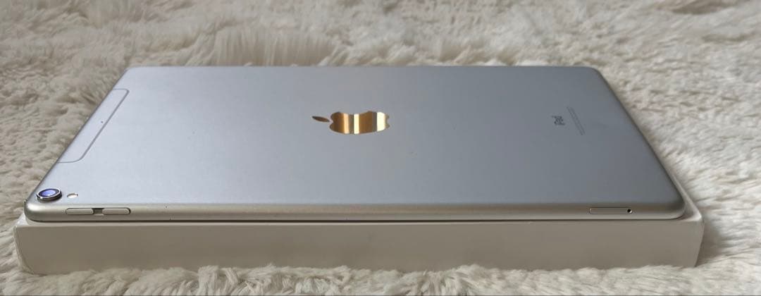 【完動品】iPad Pro 10.5 256GB SIMフリー 【付属品】